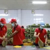 Quality helps Viet Nam retain agricultural market share in the US