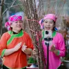 Vietnamese goods reach U.S., China online