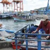 Da Nang adopts fisheries support policies to address EC’s IUU fishing “yellow card”
