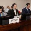 Gender equality remains consistent objective in Vietnam’s development process: official