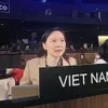 Vietnam calls on UNESCO to prioritise preferential treatment for developing countries