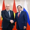 Vietnamese, Russian PMs hold talks, witness signing of nuclear power agreement