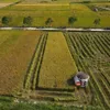 Green finance seen as key to unlocking Vietnam's low-carbon transition