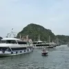 New cruise route linking Ha Long and Lan Ha Bays launched