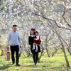 Northwest cultural showcase to open in Son La in May