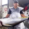 Gia Lai plans Tam Quan smart fishing port to lift exports