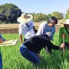 Vietnam, Philippines further boost cooperation in food security