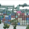 Vietnam-Singapore trade cooperation gains fresh momentum