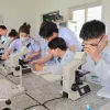Digital capacity improvement needed for comprehensive human development