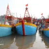Dong Thap tightens control of fishing fleet to combat IUU fishing