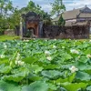 Lotus Festival lights up Hue’s summer