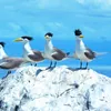 VTV Launches “Vietnam Wild Live”: Vietnam's First Live Wildlife Broadcast