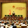 Lawmakers discuss establishing stable institutional framework for urban development