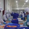 Vietnam's economy expected to grow 11% in 2027