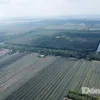 Dong Thap expands wetland reserve
