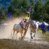 Ro Pagoda Ox racing festival bursts with excitement