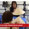 Vietnamese culture showcased at Vietnam Festa in Kanagawa