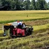 Deputy PM calls for a shift from output-driven to quality-based growth