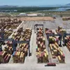 Vietnam sees high growth prospects