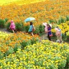 Meaningful travel in Vietnam: Destinations where tourism benefits local communities