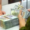 Reference exchange rate falls 4 VND on October 15