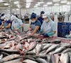 Cao điểm gỡ thẻ vàng thủy sản