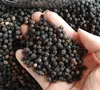 Hồ tiêu Việt Nam củng cố vị thế dẫn đầu thế giới