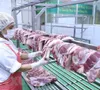 Hà Nội nâng cao quản lý giết mổ và tiêu thụ sản phẩm động vật đến năm 2030