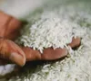 Giá gạo Thái Lan chạm mức cao nhất 3 tuần