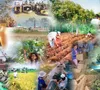 Kinh tế-xã hội duy trì đà tăng trưởng tích cực trên hầu hết các lĩnh vực