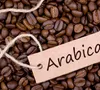 Giá cà phê hôm nay 6/2: Robusta tăng mạnh, Arabica thiết lập mốc cao nhất lịch ử