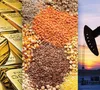 Ngân hàng thế giới dự báo giá hàng hóa toàn cầu giảm mạnh