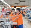 Doanh nghiệp dệt may chủ động ứng phó trước rủi ro thương mại
