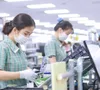Việt Nam giữ đà hút vốn FDI chất lượng cao giữa cơn sóng bất ổn toàn cầu