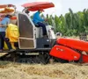 Thị trường cho gạo phát thải thấp