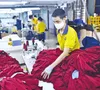 Xuất khẩu dệt may lãi lớn ở quý đầu năm