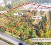 Hà Nội giao hơn 10.000m2 đất tại Long Biên làm dự án biệt thự thấp tầng