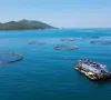 Ngành thủy sản thích ứng biến động thương mại toàn cầu