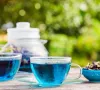 FDA phê duyệt 3 loại phẩm màu tự nhiên dùng trong thực phẩm và đồ uống