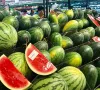 Nông sản Việt rộng đường chính ngạch vào Trung Quốc