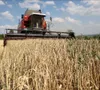 EU sẽ giảm hạn ngạch miễn thuế đối với các sản phẩm nông nghiệp của Ukraine