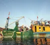 Tổ hợp tác khai thác hải sản: Giải pháp nâng thu nhập cho ngư dân Tiền Giang