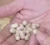 Tăng cường kỷ luật công vụ, siết chặt kiểm soát hàng giả trong lĩnh vực y tế