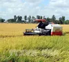 Chủ động kịch các kịch bản tiêu thụ nông sản
