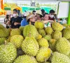 Trung Quốc cập nhật thêm 829 mã vùng trồng, 131 mã đóng gói sầu riêng của Việt Nam