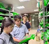Bộ Y tế thành lập 15 tổ kiểm tra, mở cao điểm xử lý buôn lậu, hàng giả trong lĩnh vực y tế
