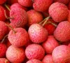 Mở rộng kết nối tiêu thụ vải thiều