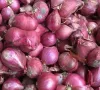 Hành tím Ninh Thuận chinh phục thị trường thế giới