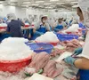 Xuất khẩu cá tra sang thị trường EU duy trì đà tăng trưởng