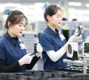 Siết truy xuất nguồn gốc, ngăn gian lận xuất xứ hàng hoá